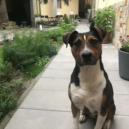 Apart Otel Margareta Garden & Eğri