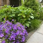 Hotel apartamentowy Margareta Garden & Eger