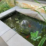 Hotel apartamentowy Margareta Garden &