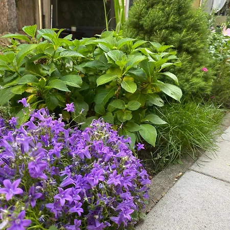 Апарт-отель Margareta Garden & Эгер