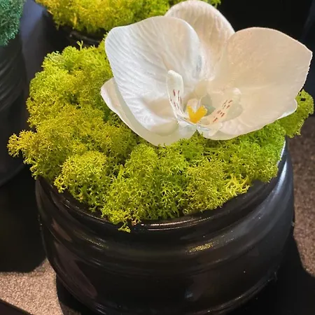 Апарт-отель Margareta Garden &