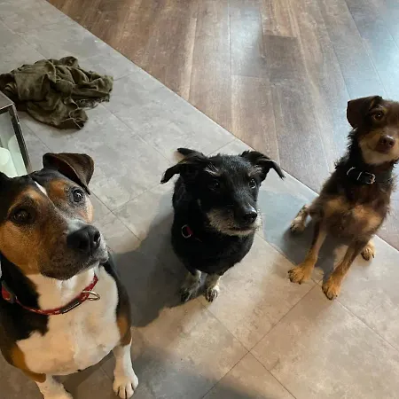 Aparthotel Margareta Garden & 4*