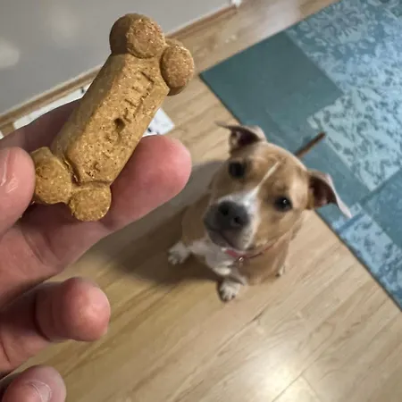 Margareta Garden & 4*