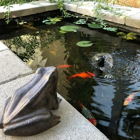 Margareta Garden & Aparthotel Erlau