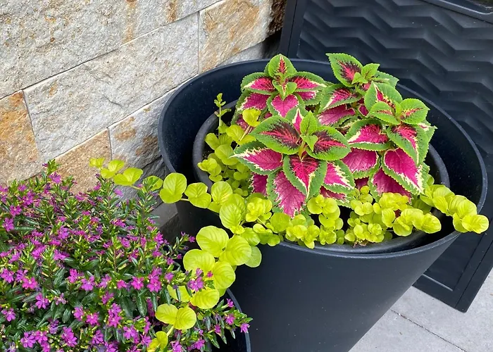 Margareta Garden & 4*