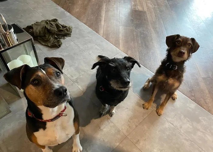 Hotel apartamentowy Margareta Garden & 4*