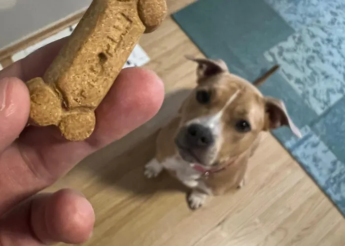 Margareta Garden & 4*