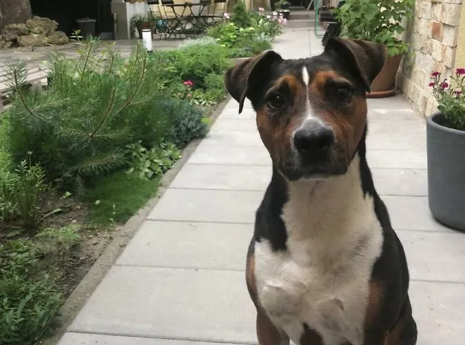 Aparthotel Margareta Garden & Erlau